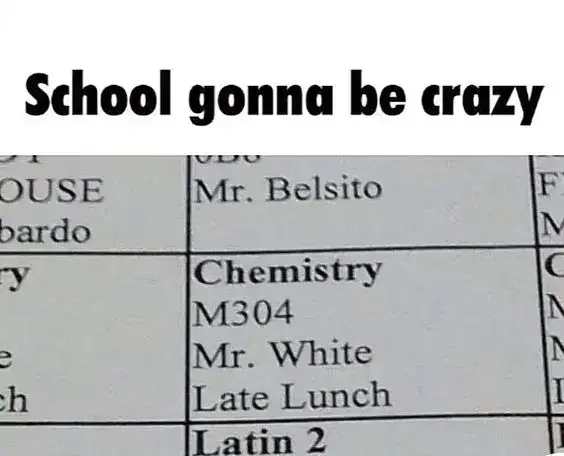 wonder if Mr. pinkman is gonna be his sidekick #walter #white #jessie #pinkman