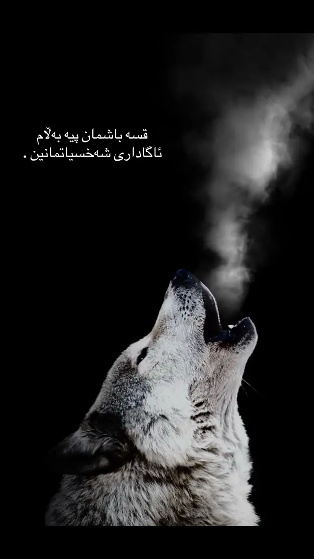 #foryou #ئەکتیڤبن🥀🖤ـہہـ٨ــہ #وتەی_جوان #hawler #soran #fypシ 