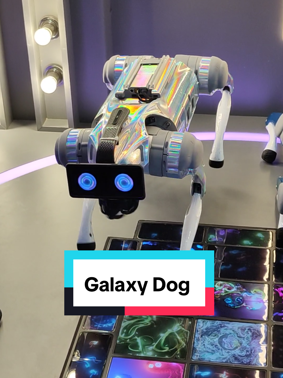 Galaxy Dog  #mwc #mvc25 #mobilewordlcongress #mobilewordcongress2025 #huaweimatex6 