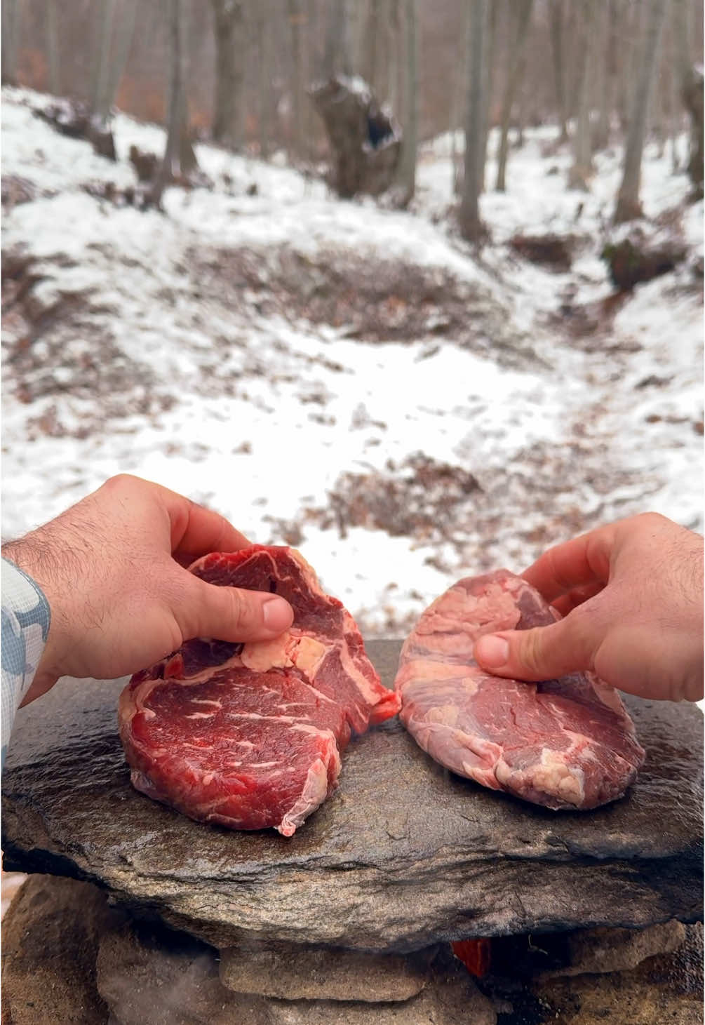 BEST SAUCE FOR STEAKS?  Dry aged RIBEYE STEAKS on a stone with ROMESCO Sauce and crispy fries. The best way to enjoy a snowy day in the forest.  Testing our giant Rocket stove log by Cooking Delicious dry aged black Angus ribeye steaks on stone and pairing them with crispy French fries and Romesco sauce. #Outdoors #cooking #asmr 