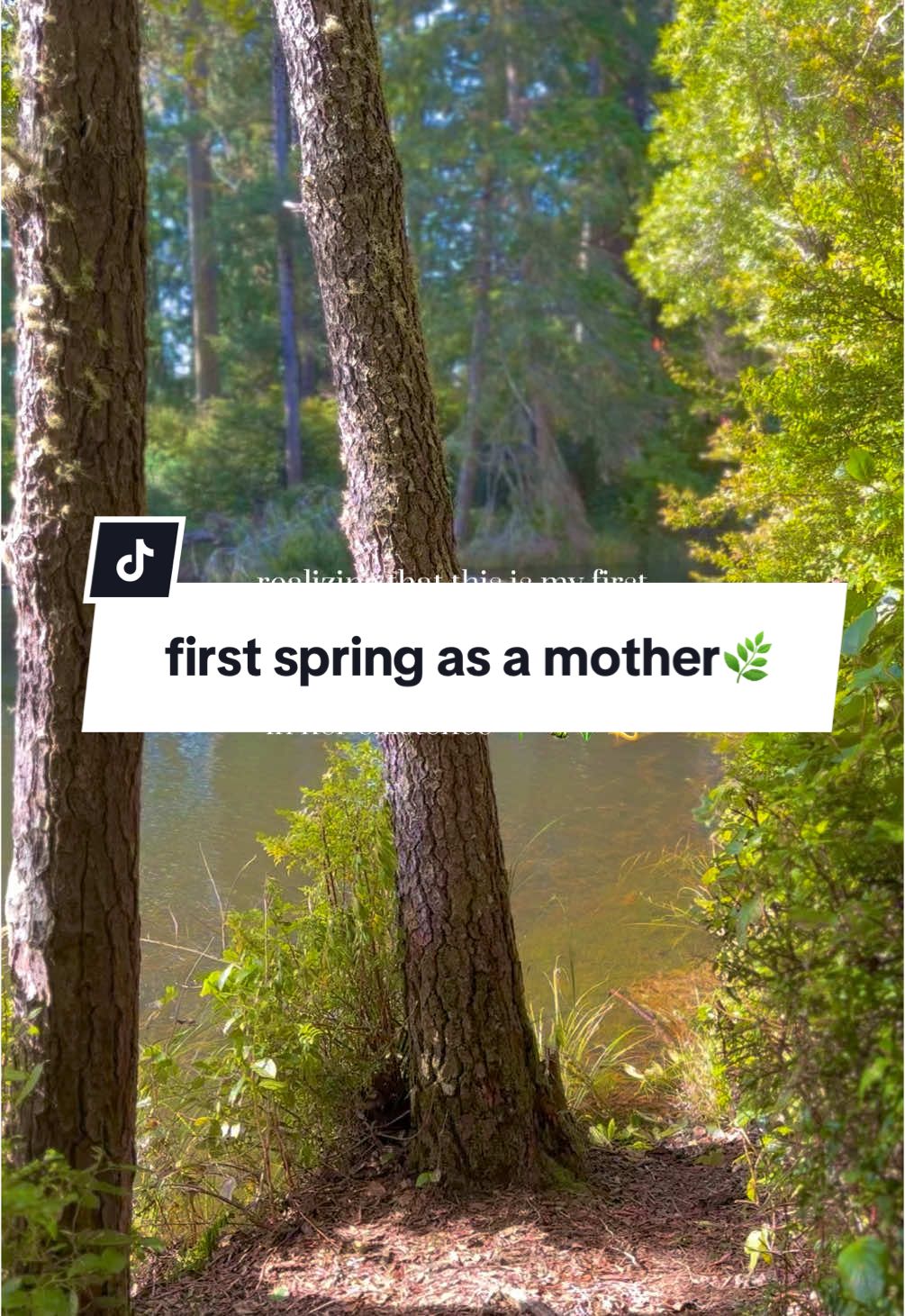 waking up with momma earth as a mother myself, shedding, awakening, rebirthing, blooming, growing, flowing, and showing my babygirl the wonders of the wild all around us🌿🧚🏽‍♂️🤍• #hippie #hippietok #spirituality #momlife #momtok #firsttimemom #girlmom #nature #adventure #explore #spring #forest #pnw #oregon #222