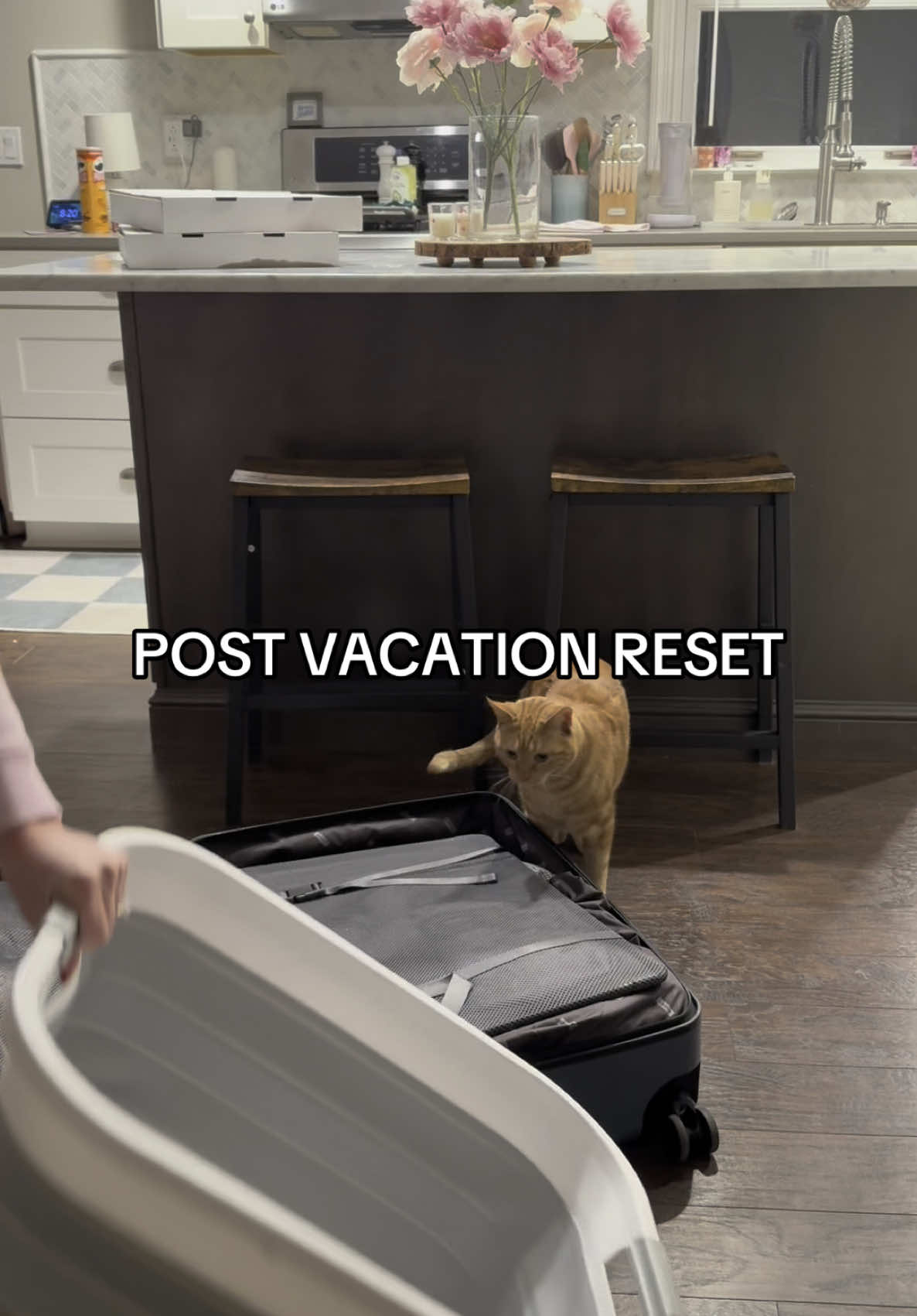 Do you unpack right away after a trip? I usually don’t but it felt good getting it done right away this time! #unpacking #unpackwithme #asmr #reset #resetroutine #travel #travelroutine #foryou #fyp #trending #creatorsearchinsights #cats #catsoftiktok #catmom 