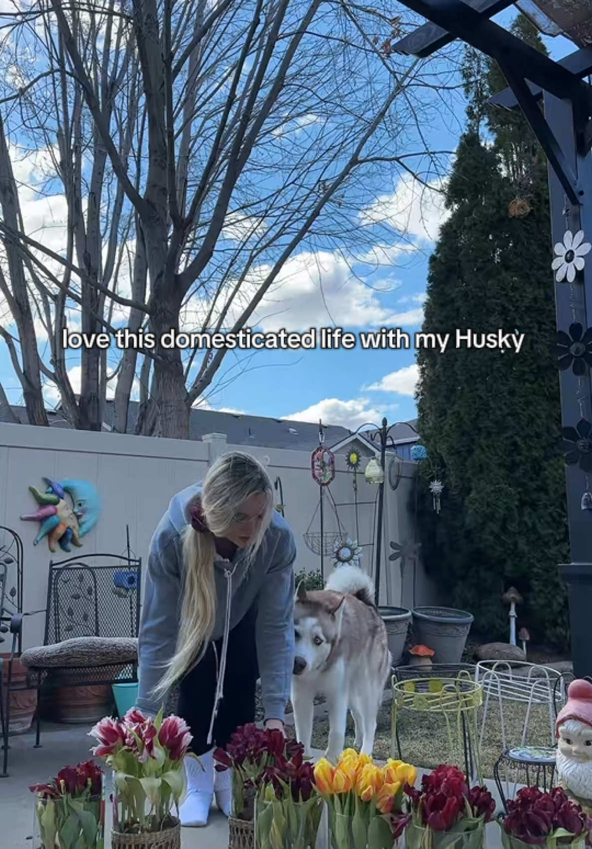 Time to plant bulbs 🌱 #gardening #nature #HealingJourney #peace #peaceful #dogsofttiktok #siberianhusky #huskylife #huskypuppy #siberianhusky 