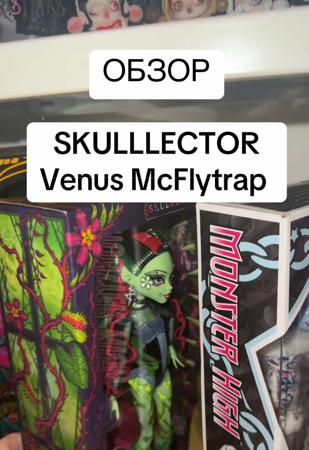 жаль коробка пришла бракованная  #recommendations #куклы #monsterhigh #обзор #g1monsterhigh #venusflytrap #skullector 