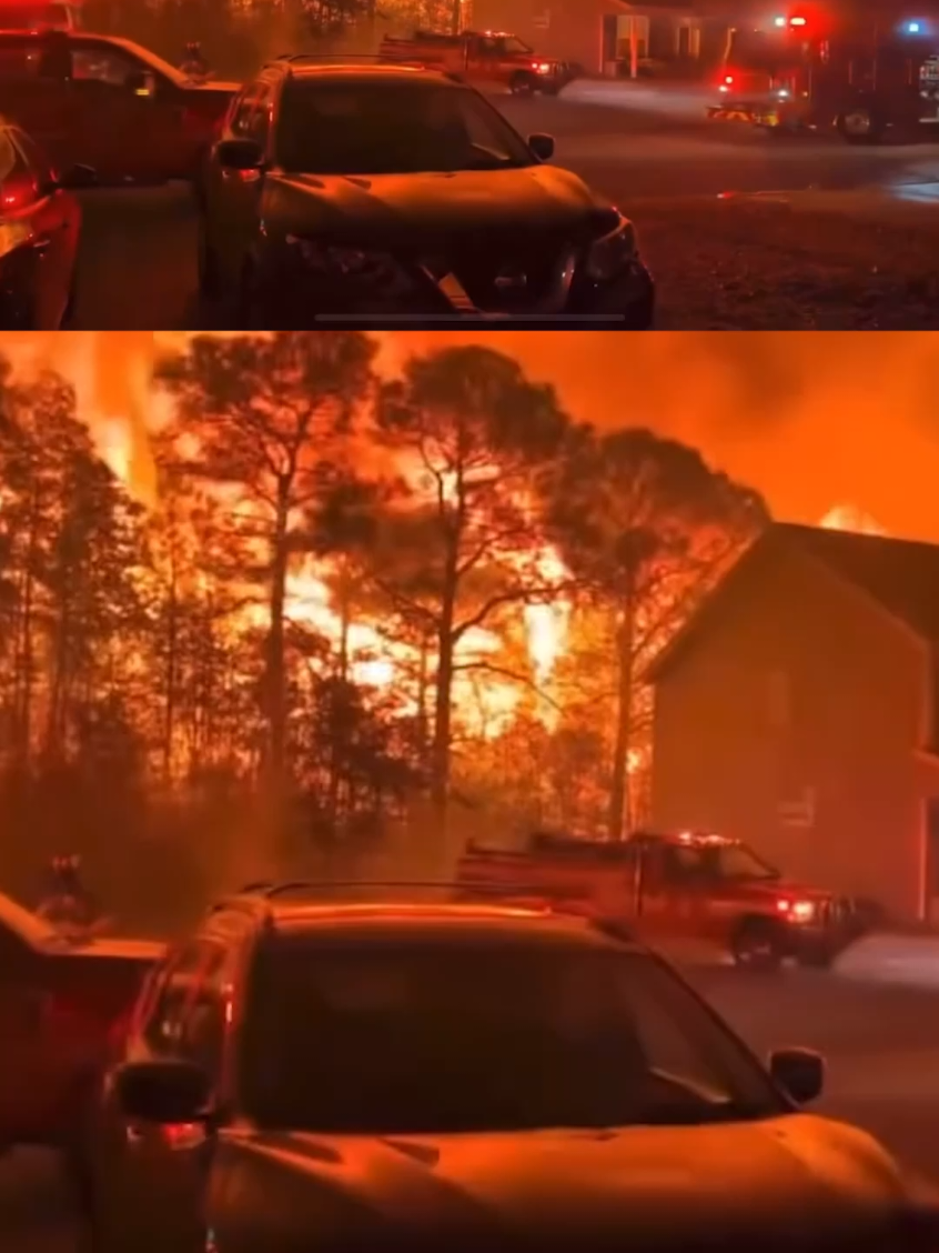 Firefighters are battling more than 175 wildfires in North and South Carolina that erupted over the weekend due to gusty winds and dry conditions.  Read the full story on DailyMail.com  #wildfires #news #naturaldisaster 