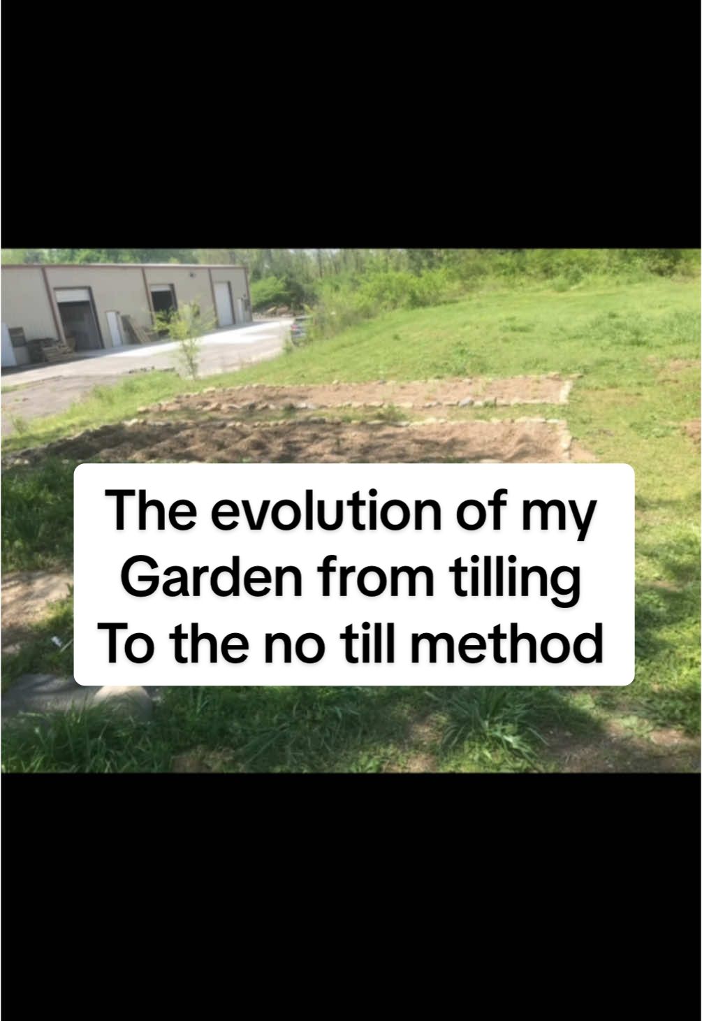 It’s time to talk about the no till method of gardening but first I wanted to share the evolution of my garden from tilling to no tilling & the results of that swap. #notillfarming #notillgardening #garden #gardening #gardentips #gardeningtips #gardeningforbeginners #gardening101 #backyardgarden 