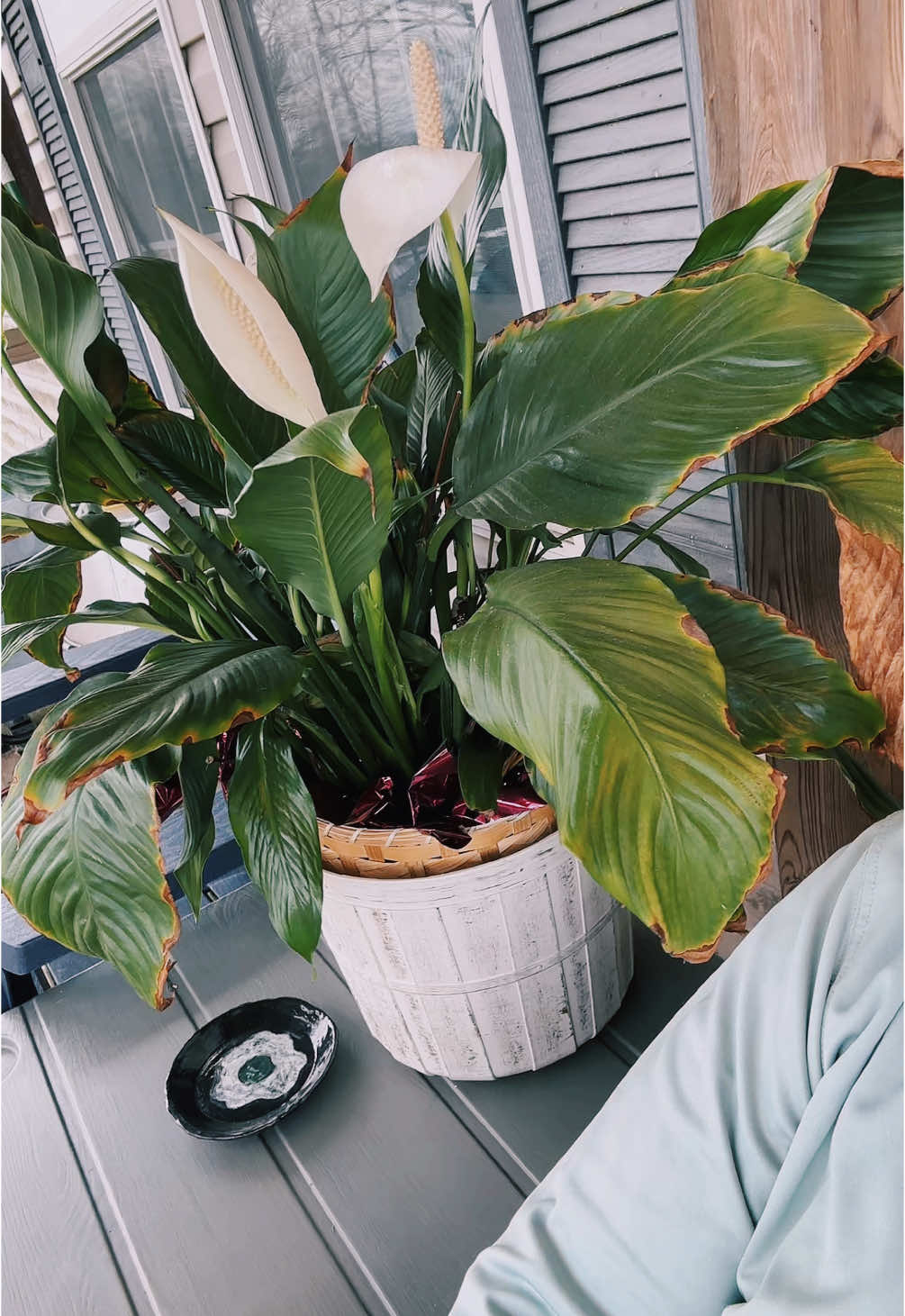 These Middle Ages are weird yall. #dadsoftiktok #eldermillenial #adulting #plantdad #plantdaddy #solodad #solodads #millennial #millennialsoftiktok 