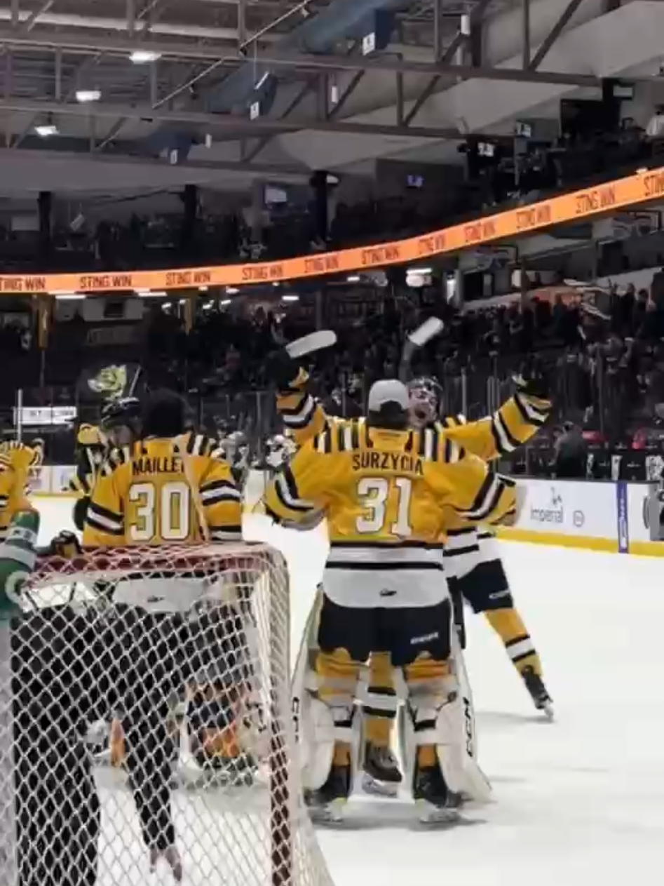 Just here for the ✨️vibes✨️ #fyp #ohl #sarniasting #sarniaontario #vibes #forthevibes #hockeytiktoks #hockeyteam #hockeyplayers 