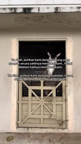 Amiin🤲🏻 #RamadanDiTikTok #fyp #pemudahijrah #puasa #alhamdulillah #ramadhan #JelajahRamadan #fypage 