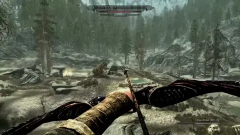 #skyrim #theelderscrolls #Gaming #bugs #funnymoments 