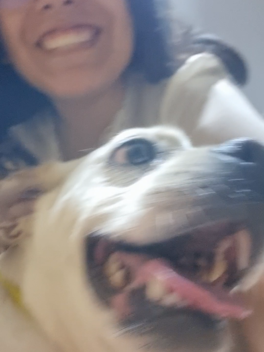 BUDDY REGRESO GENTE 🫶🫶🫶 GRACIAS