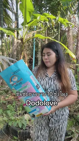 #แพมเพิสเด็ก #dodolove 