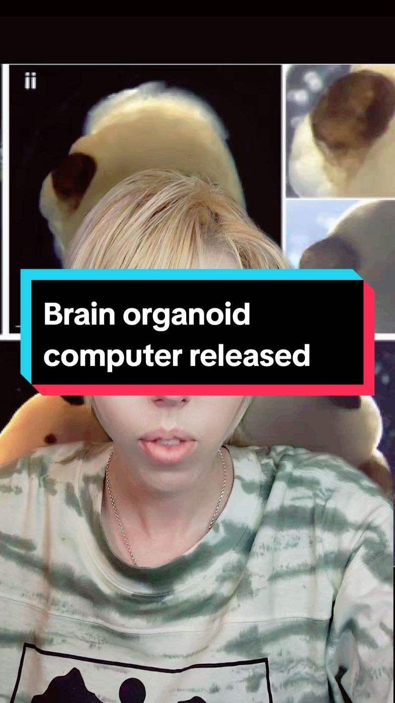 a commercial brain organoid computer released #science #sciencenews #organoids #brainorganoids #brain #biocomputers #wetware #tinybrains