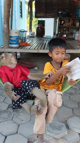 #monkey #dog #kidstiktok #funn 