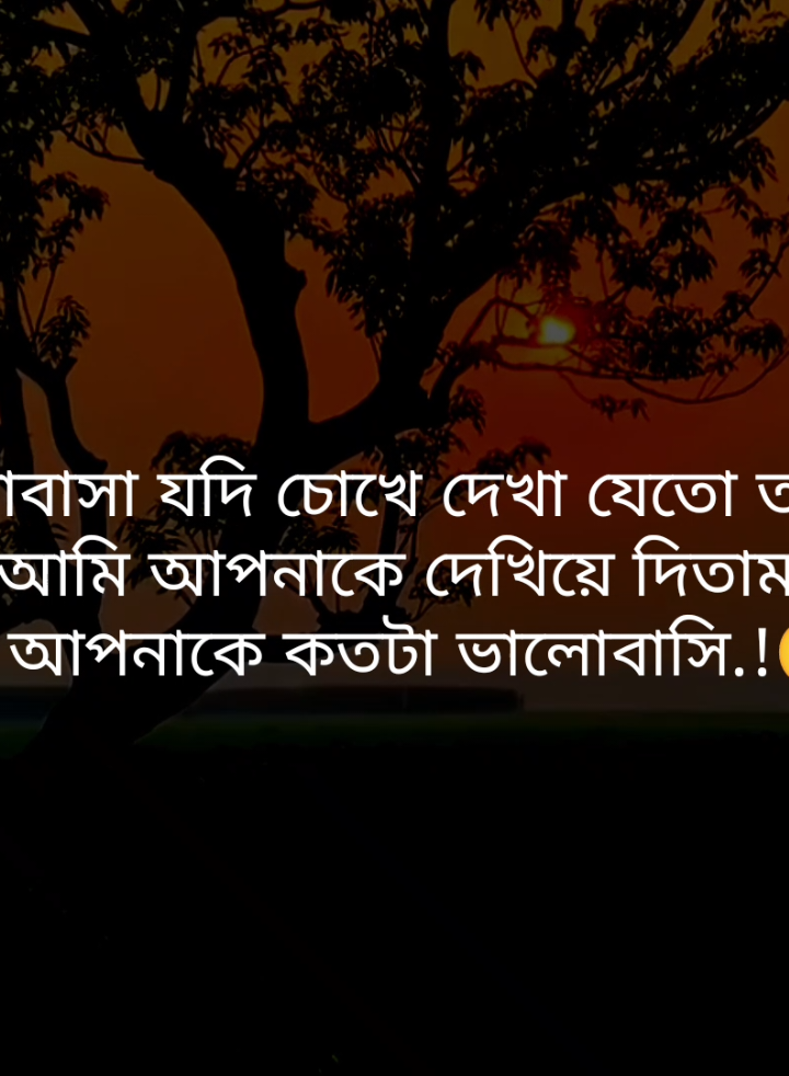 ভালোবাসা যদি চোখে দেখা যেতো তাহলে আমি আপনাকে দেখিয়ে দিতাম আমি আপনাকে কতটা ভালোবাসি.!🥹🌸#fypシ゚ #tiktok #foryou #status #tibro_03 #unfrezzmyaccount 