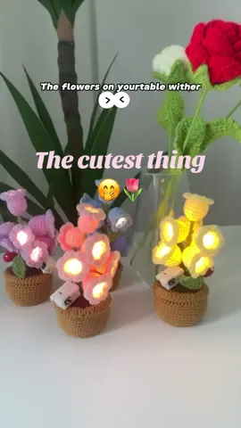 The cutest thing💐🤭#girlfriend #gift #crochet #crochetflower #cute#nightlight #foryoupage #fyp 