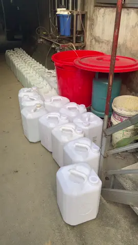 Tửu tửu men lá hà giang nhé a em.