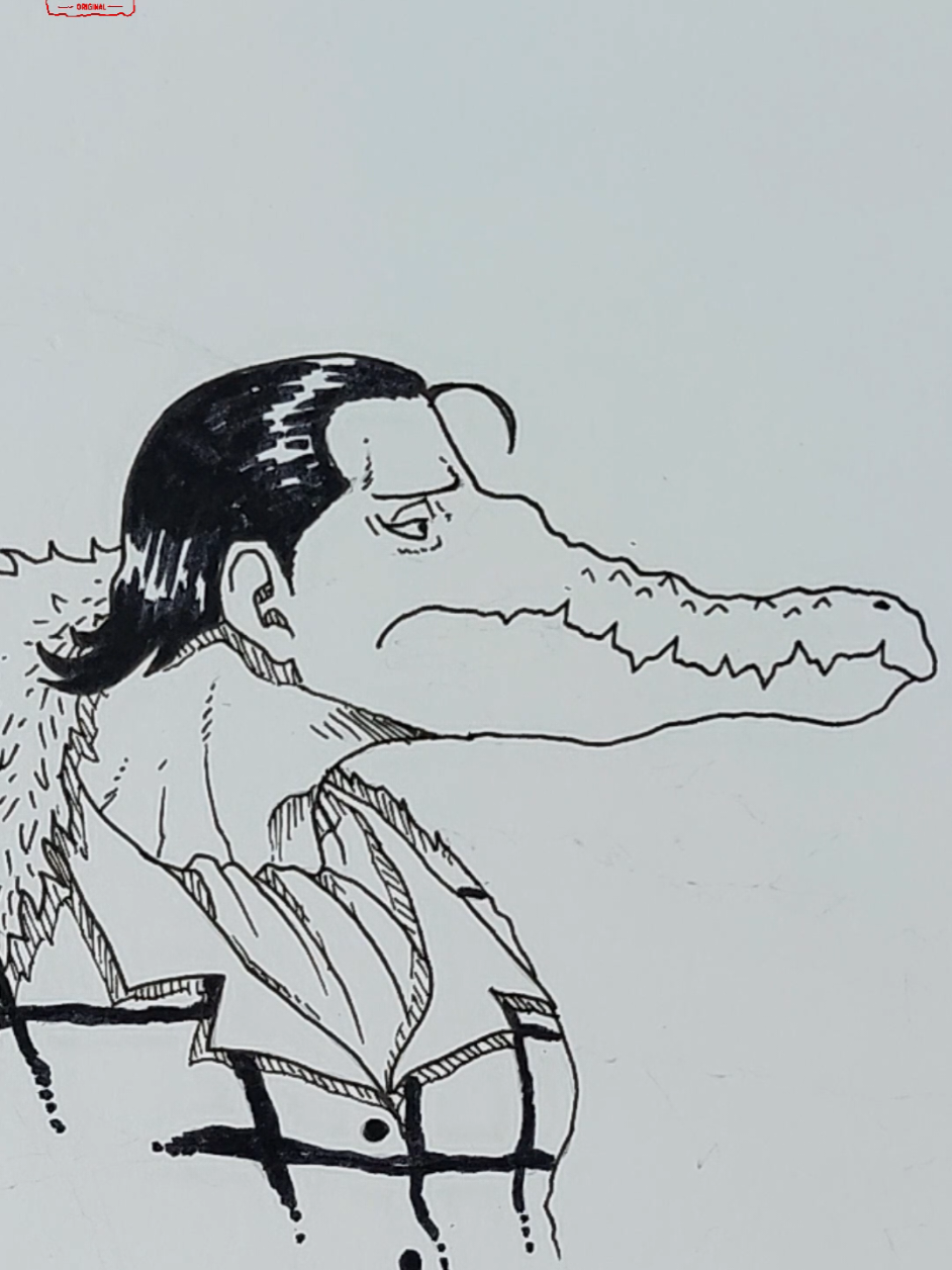 real crocodile? #onepiece #crocodileonepiece #art 