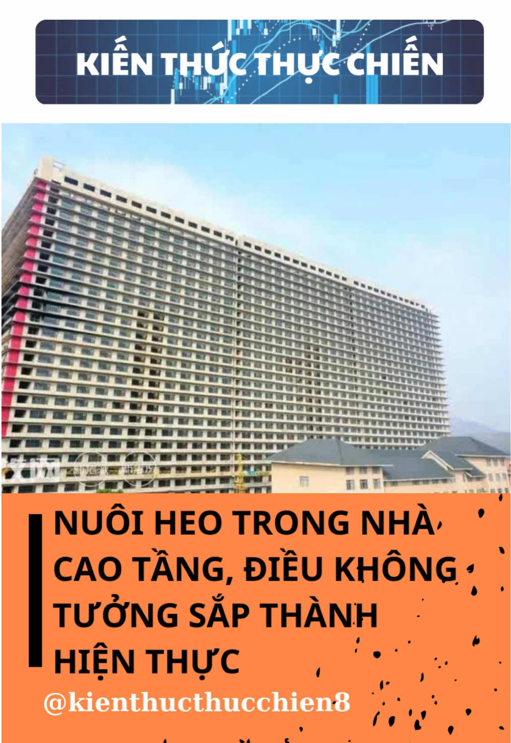 Nuôi heo trong nhà cao tâng, điều không tưởng sắp thành sự thật! #chungkhoan #cophieutot #giaheohomnay #baf #dautuchungkhoan 