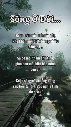 #stt_buồn_tâm_trạng #tinhyeu #tamtrang #xuhuongtiktok #doiphieulang68 