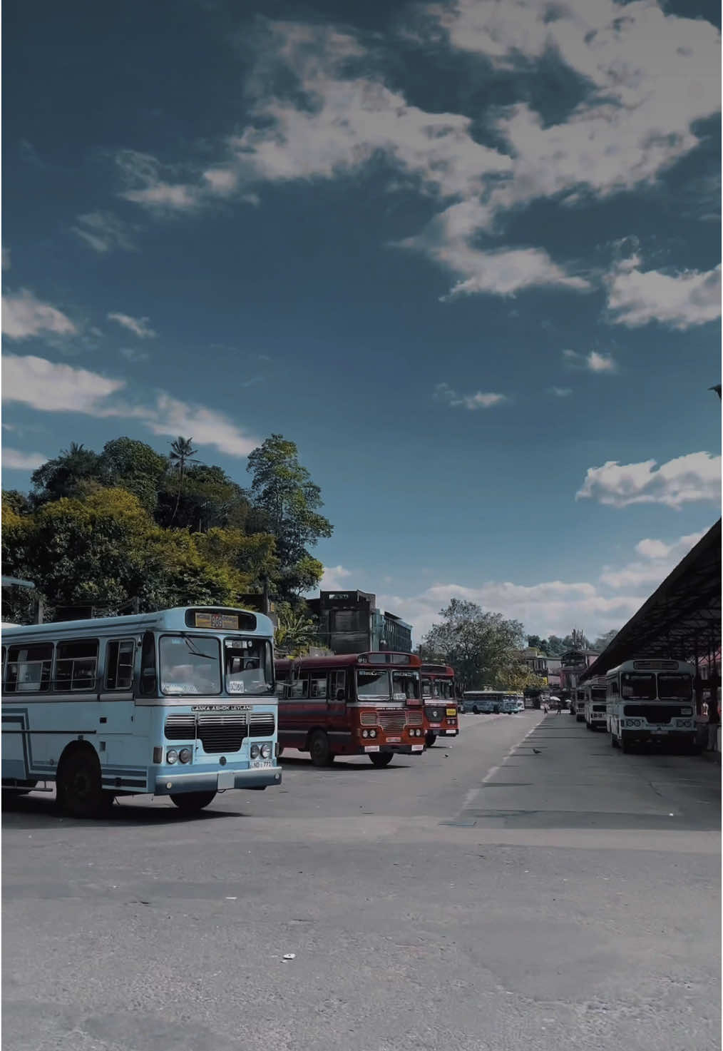 Background Video හොයන ඔයාටමයි Lamayoooo ! 💐🤍