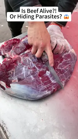 Why is this raw beef MOVING on its own?  Parasites or just muscle contractions?  #parasiteinfood #rawmeat #foodscience #mysterymeat #weirdthings #healthawareness #despara #foryou #foryoupage #fyp #parasite #parasites #parasitecleanse