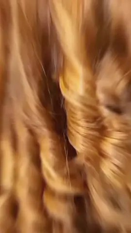 #creatorsearchinsights one die video#soniahair#👑🇬🇧🇬🇧🇬🇧👑#amazing#faryou#stylish 
