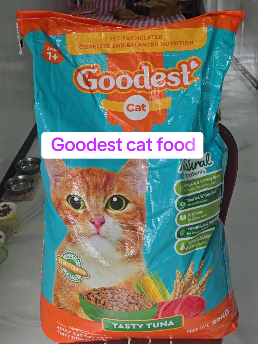 I trust goodest cat food because it's a premium food for cats.  #catfood #foryoupage #honybela #meow #cats @goodestph 
