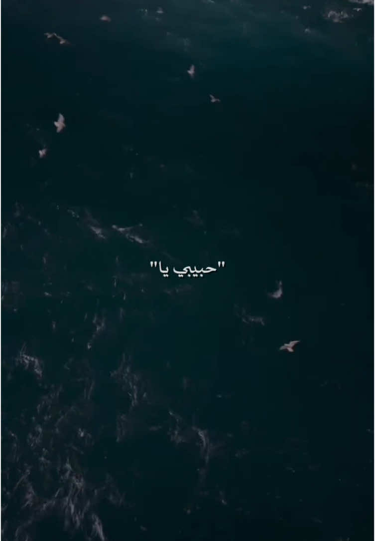 حبيبي يا 🖤😔 #سيف_عامر #حبيبي_يا #شبكة_اوتار 