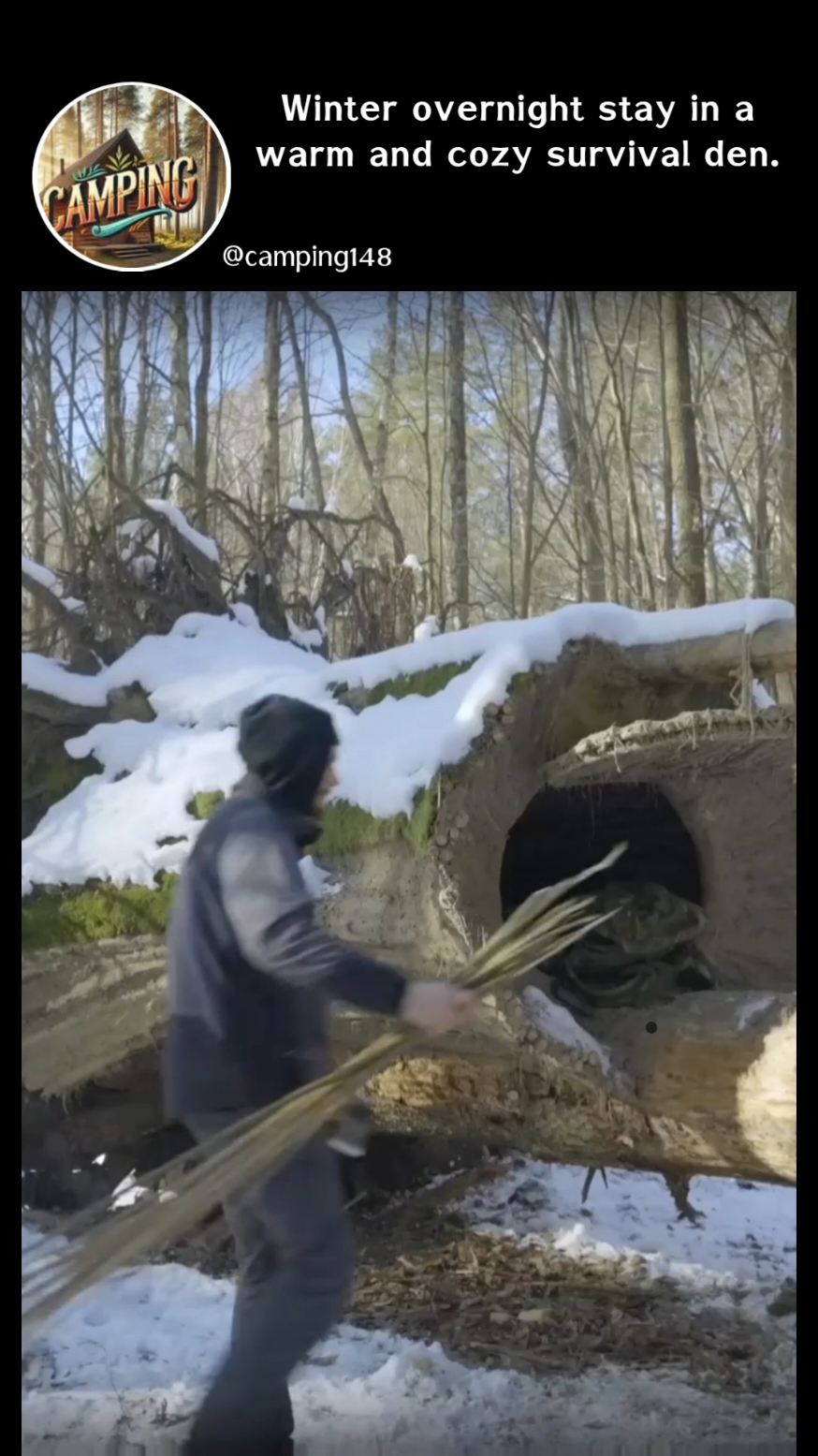 Winter overnight stay in a warm and cozy survival den. #c#camping #building #campinglife #bushcraft #Outdoors #survival #outdoor #shelter #asmr #SATISFYING #VIRAL #FORYOU 