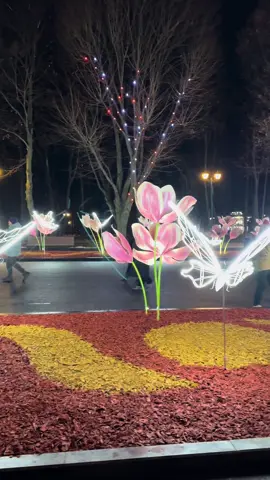 Казкова краса в Саду Шевченко 🌷🌸🌹🌺🌻🌼🪷 #лучший #харьков #украина #харків #мойгород #ukraine🇺🇦 #musically #україна #kharkiv #musicvideo #свято #святовесни #свята #квіти #цветы #праздники #ukraine #musica 