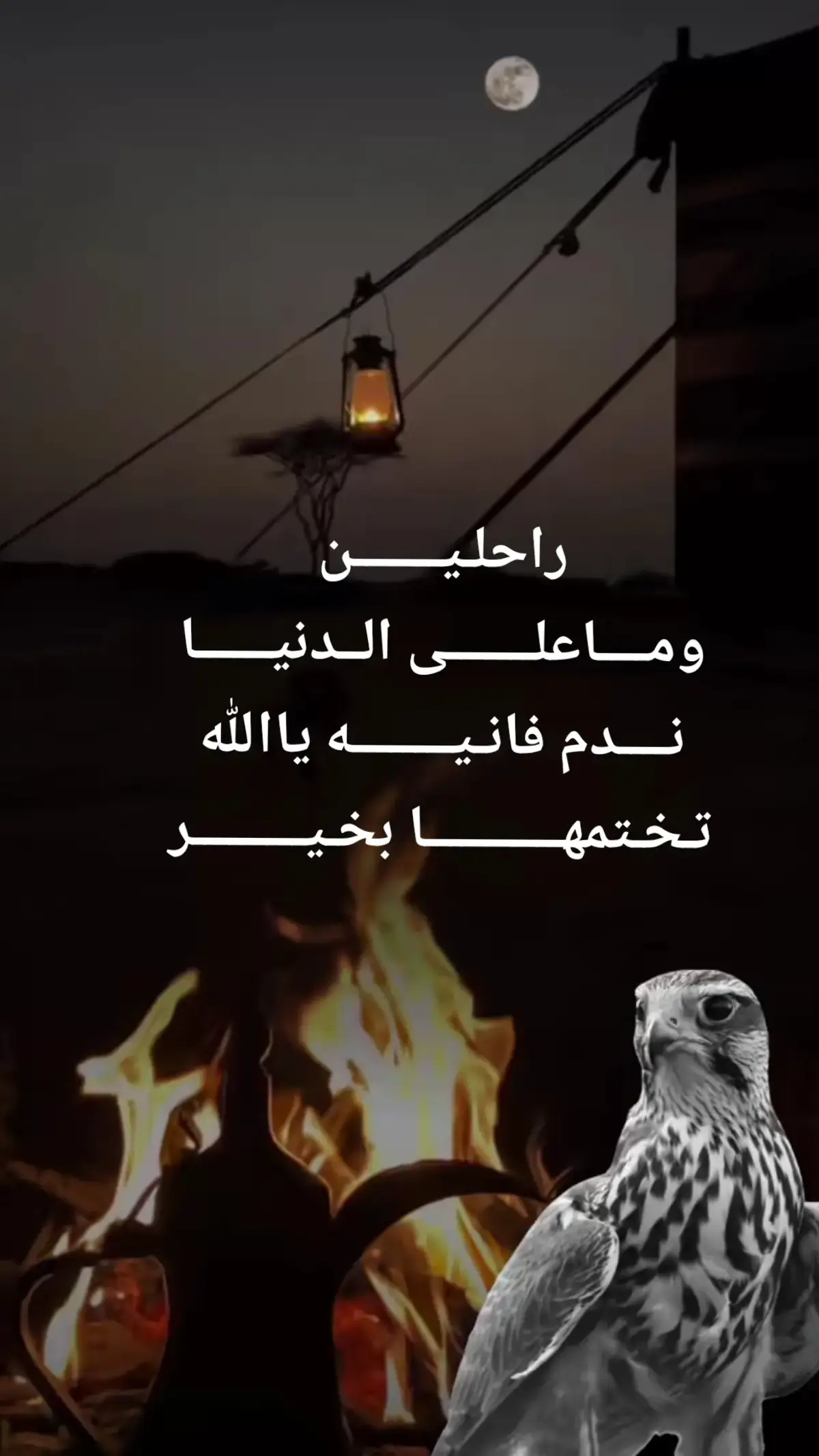 #اكسبلورexplore #اكسبلور 