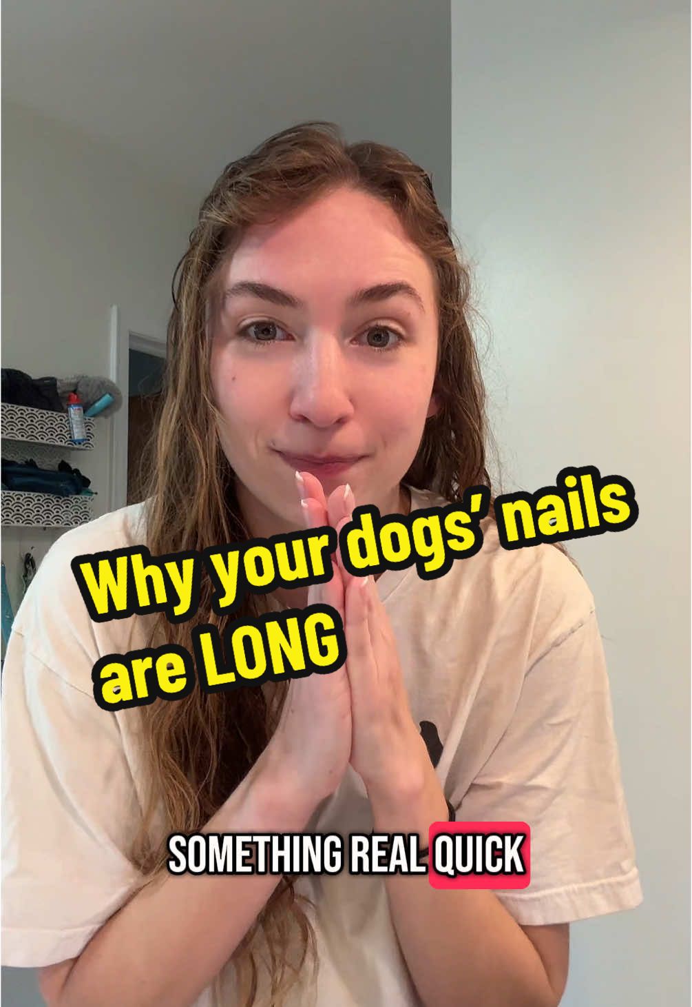 PLEASE work with your groomer instead of against them - we want to help you!! I understand not everyone can have appointments every month or do their own dogs’ nails, but this is the real reason they are getting longer.  There are also lots of videos online to teach your dog to enjoy nail trims with cooperative care techniques! I even created a video showing you how do to it.  #nailtrim #doggroomer #dognailclipping 