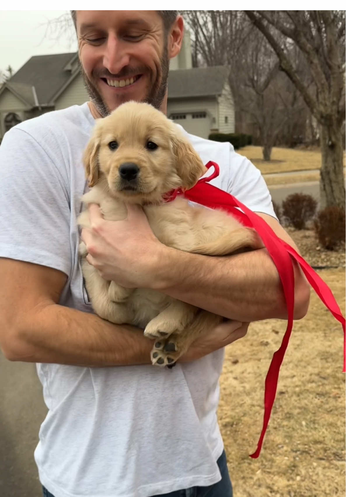 His world is about to change! #puppy #surprise #puppysurprise #golden #dog 