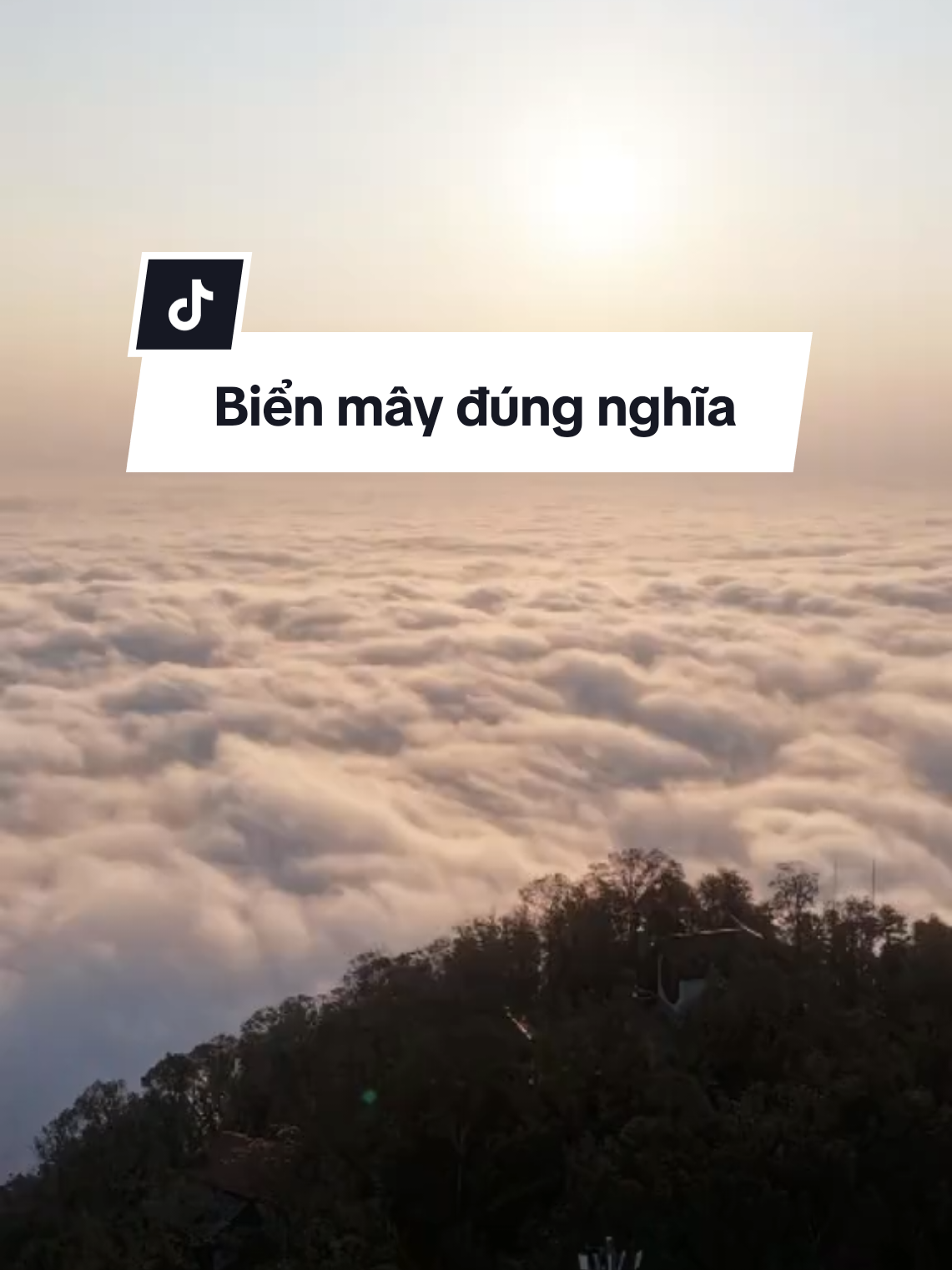 Biển mây đúng nghĩa #hangthodiabavi #vuonquocgiabavi #thodiabaviofficial