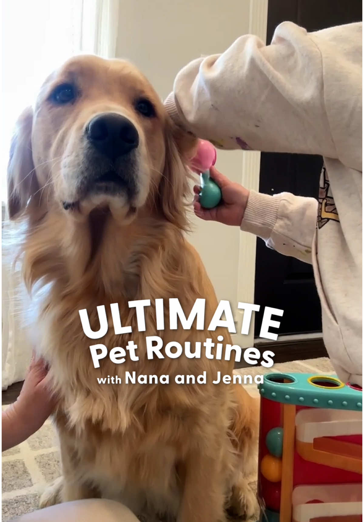 She even puts the kids down for naps 😭 In this week's episode of Ultimate Pet Routine, @jennaledesma takes us through a day at her in-home day care with her Golden retriever, Nana 💙