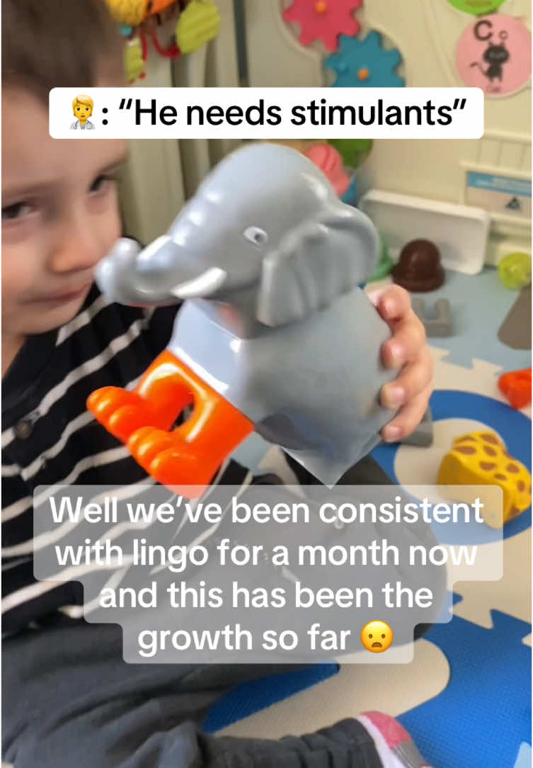 The peace of mind that Lingo has been giving us is unparalleled. Try Lingo Leap today! #lingoleap #speechdelay #toddlersoftiktok #crunchymom #toddlertok #toddlermom #toddlers #kidssupplement 