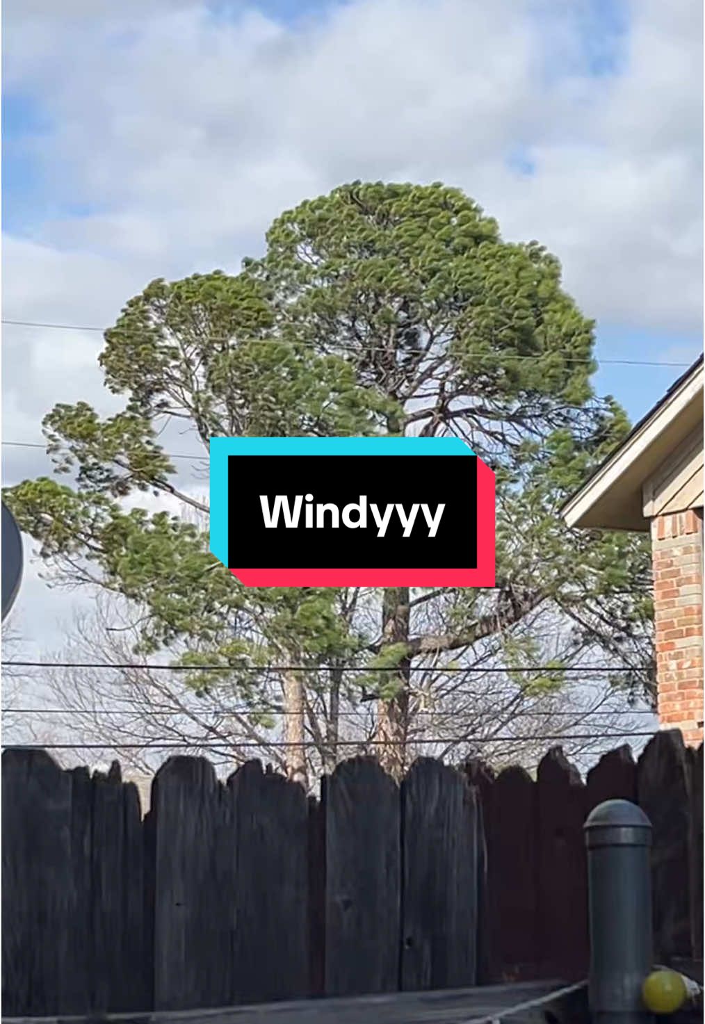 🌬️🍃💨 #dfw #windstorm #tornadoseason #spring #fattuesday #mardigras #fyp #goodvibes #windy 