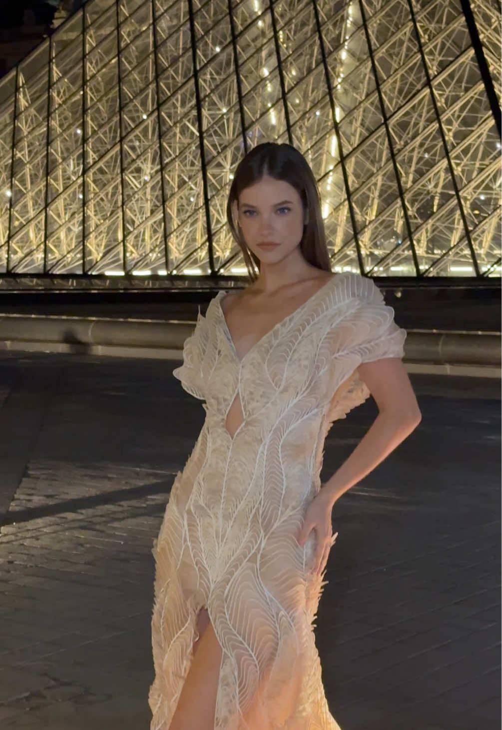 #barbarapalvin #Legranddinerdulouvre #dinerdulouvre #pfw #TikTokFashion #fashionweek 