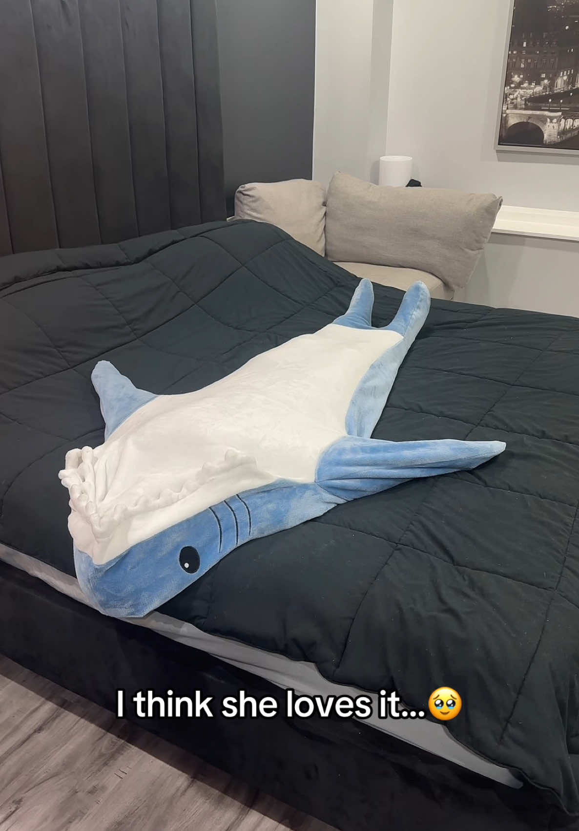 I love getting her gifts 😂 #trending #viralfinds #viral #couplegoals #cozyshark #sharkblanket #foryoupage #fy 