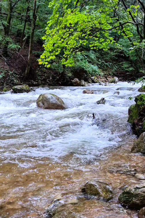 Beautiful valley 🌳💦 #naturevibes #nature #valley #forest #forestlife #relax #soothing #calm #calmdown #livewallpaper #koreatravel #chill 