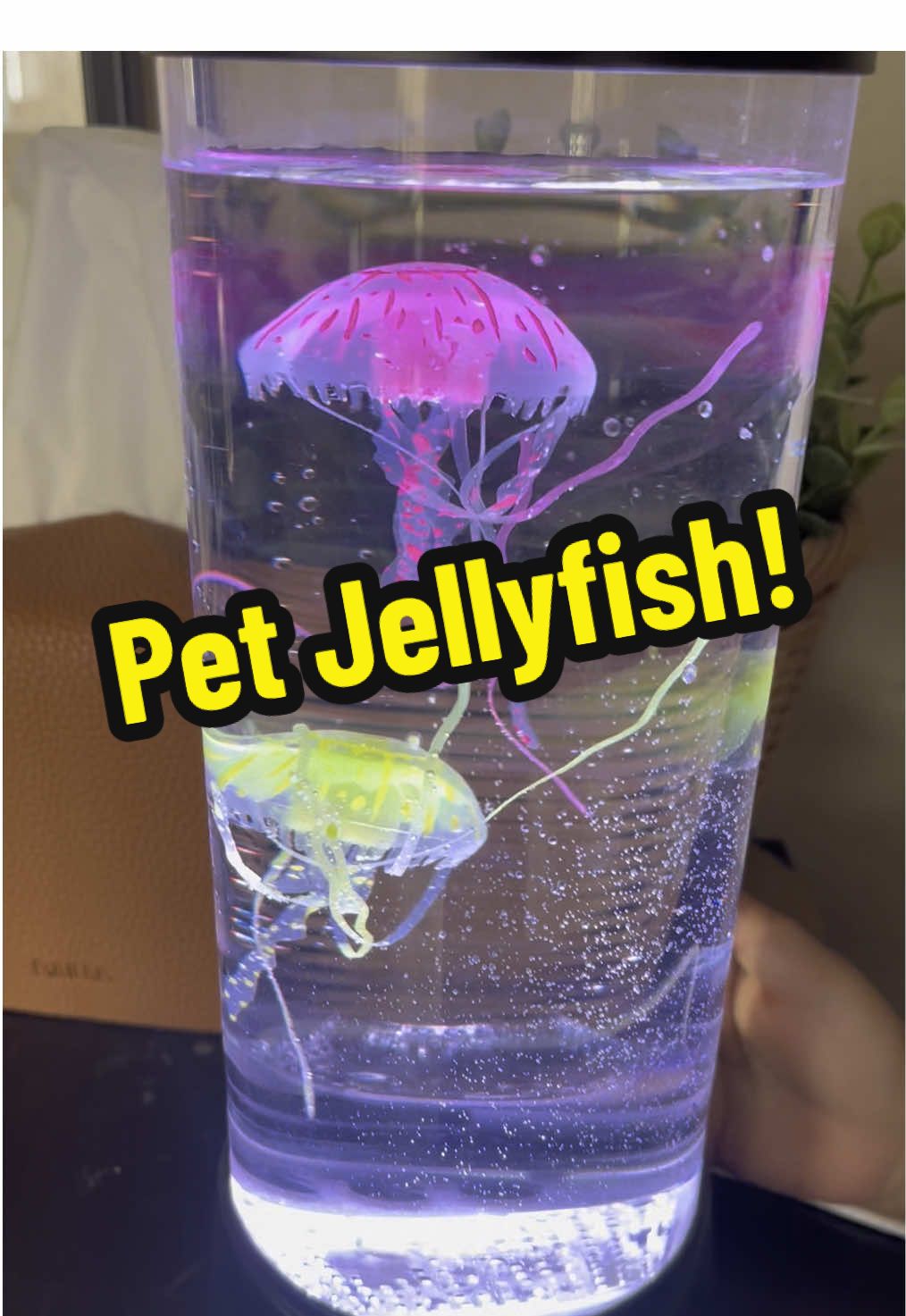 #jellyfish #fishtank #play #learn #science #pretendplay #pretend #nightlight #lamp 