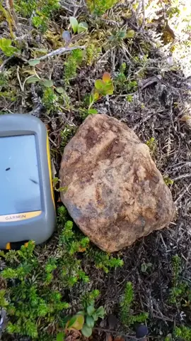 Cutting down Muonionalusta meteorites and revealing their unique Widmanstatten structure, unique on meteorites. #meteorites #nature #science #spacex #rocks 