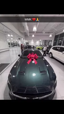 🐎🚨#brampton #canada #punjab #mustang #punjabisong #cheemay #reelsinstagram #tiktokviral 