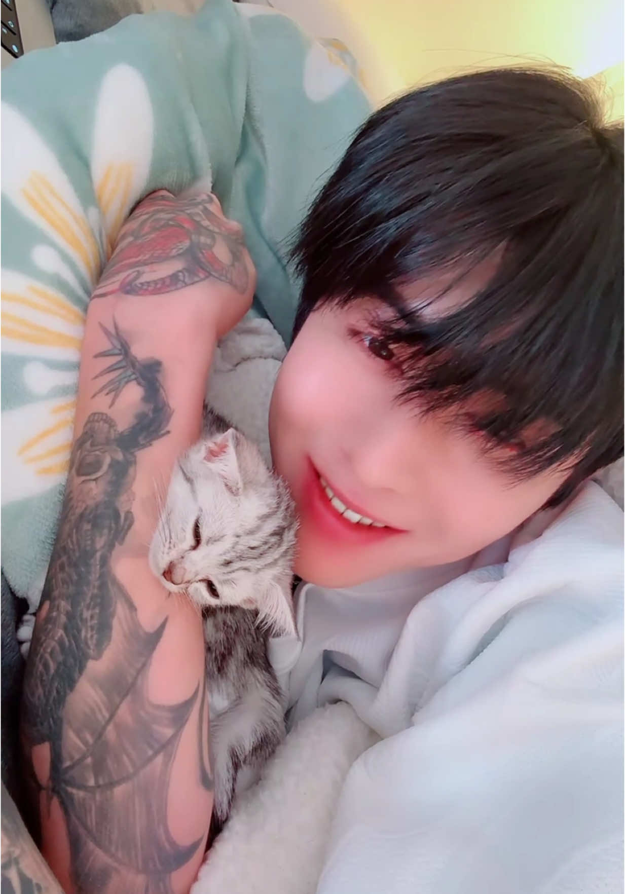 항상 내옆에서 잠드는 사랑스러운 애기❤️#LIVEhighlights #TikTokLIVE #LIVE #jinjay #jingjing #cat #babycat