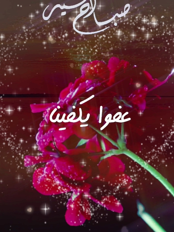 #دعاء_الصباح #صباح_الخير #اسعد_الله_جميع_اوقاتكم🌹🌹 #دعاء #رمضان_كريم #يارب❤️ #اللهم_امين #حالات_واتس #ستوريات #foryoupage #fypシ゚ #viral_video #tik_tok #ArabTikTok #g @Symba 