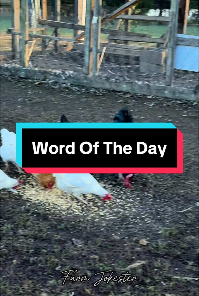 Word Of The Day:  Urinate  #wordoftheday #comedy #urination #eight #woman #men #dating #pickuplineterbaik #chickens #geese#farmjokester #michaelsalerno