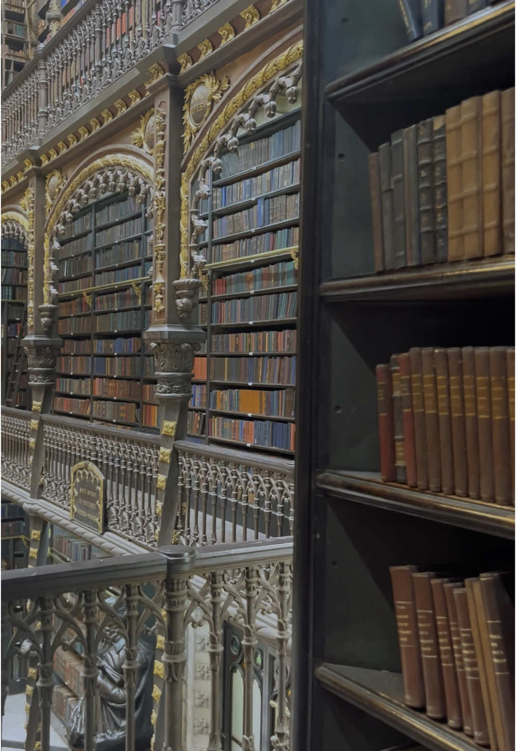 What girls really want 📚🥀 old books and ladders! 👉This is the Real Gabinete Português de Leitura located in Rio de Janeiro @realgabineteportuguesdeleitura ! #librariesofinstagram #beautifulbooks #beautyandthebeast #librarylife #beautifullibraries #bookobsessed #bookdragon #realgabineteportuguesdeleitura #bookshelves #bookshelf #bookaesthetic 