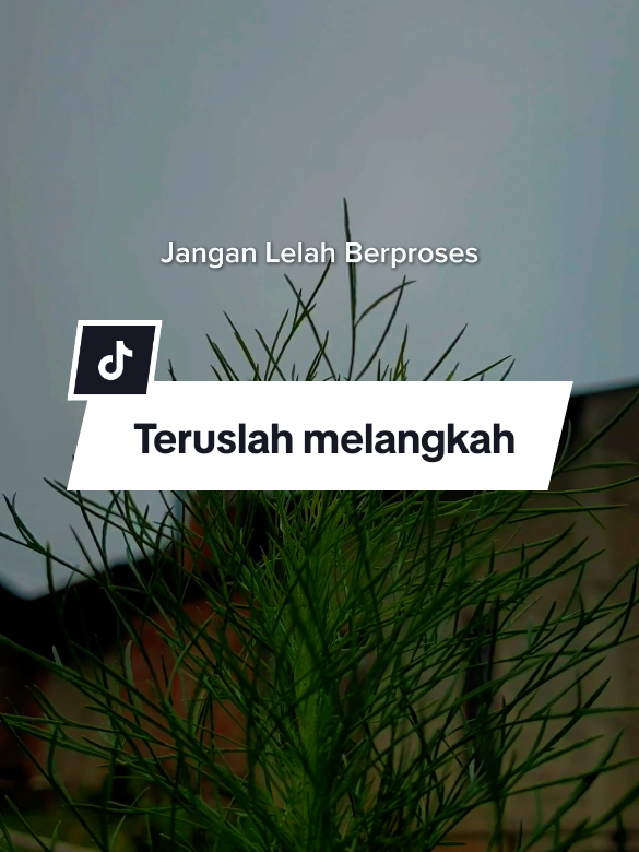 Jangan lelah berproses #CapCut #nasehat #quotesstory #motivasihidup #quotes #story #status #trending #viral #fyppppppppppppppppppppppp #fyp #katakata 