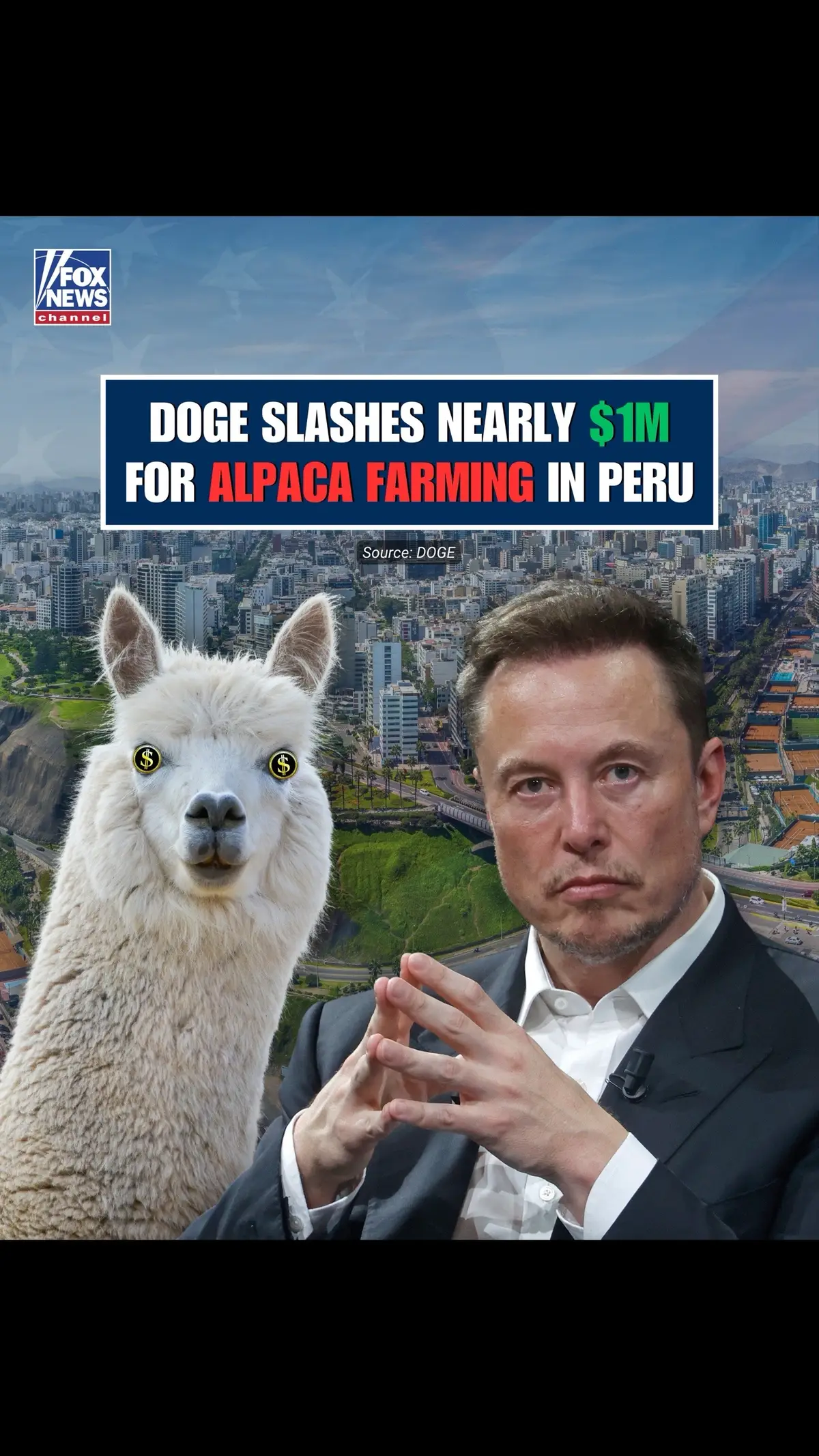 DOGE slashes nearly $1M for alpaca farming in Peru and other questionable grants in latest wasteful spending cut.